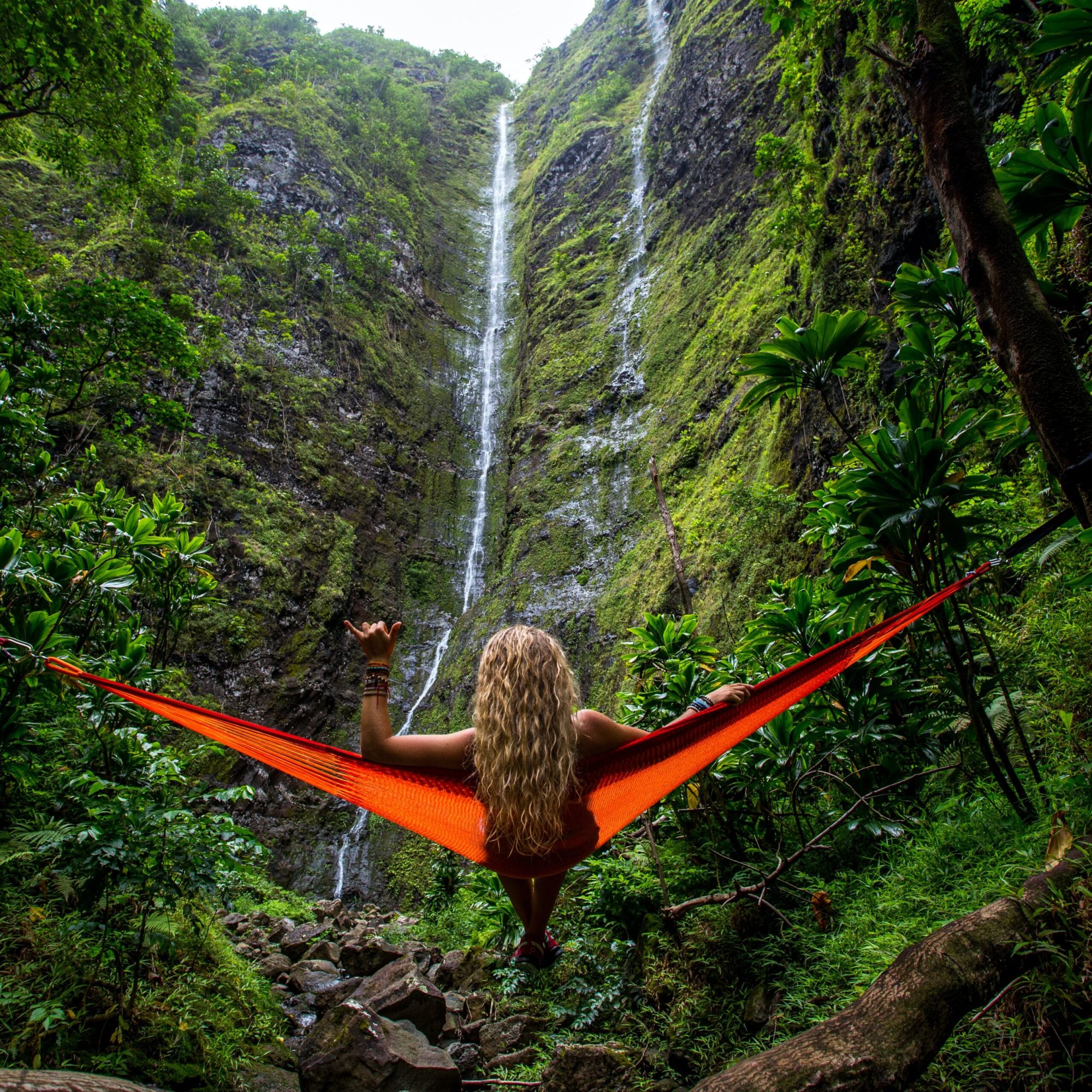 hawaii-honeymoon-adventures a bird flying over a forest