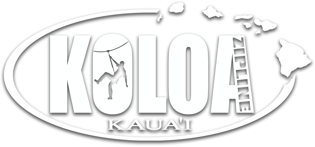 Experience Kauai's Longest Zipline Adventure | Koloa Zipline