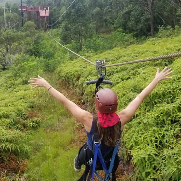 handsfreesaquare hands free ziplining