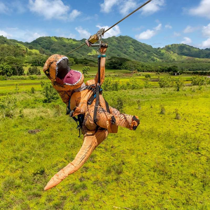 a large green field with a mountain in the background