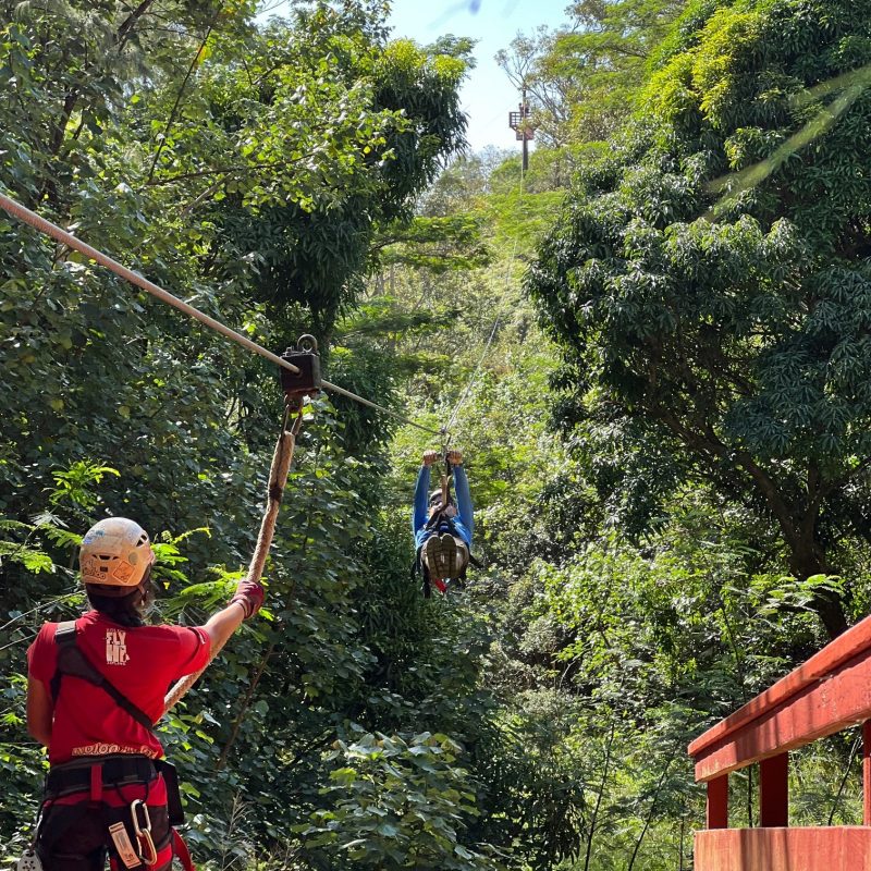 a person holding a baseball bat