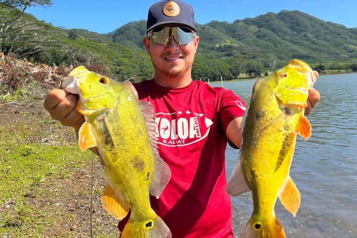 Person in a red shirt holding two yellow fish by a lake with mountains in the background.